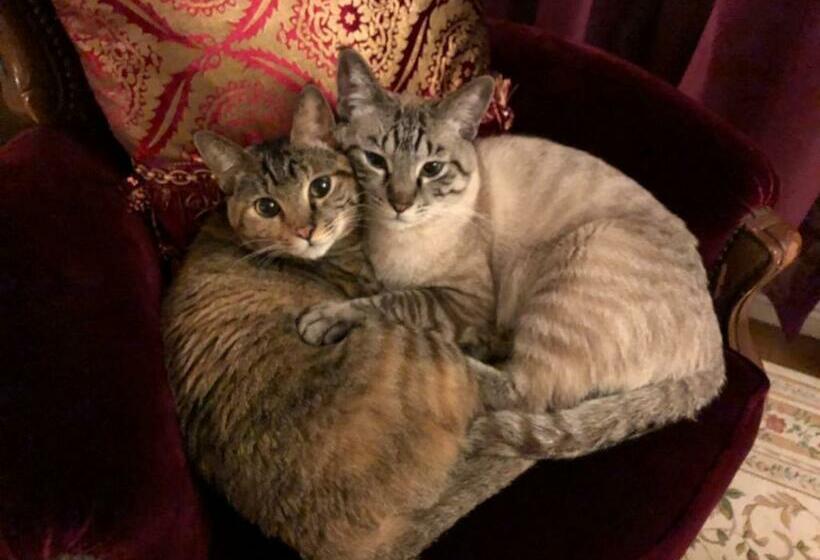 膳宿费 Otsu House / Vacation Stay 2942