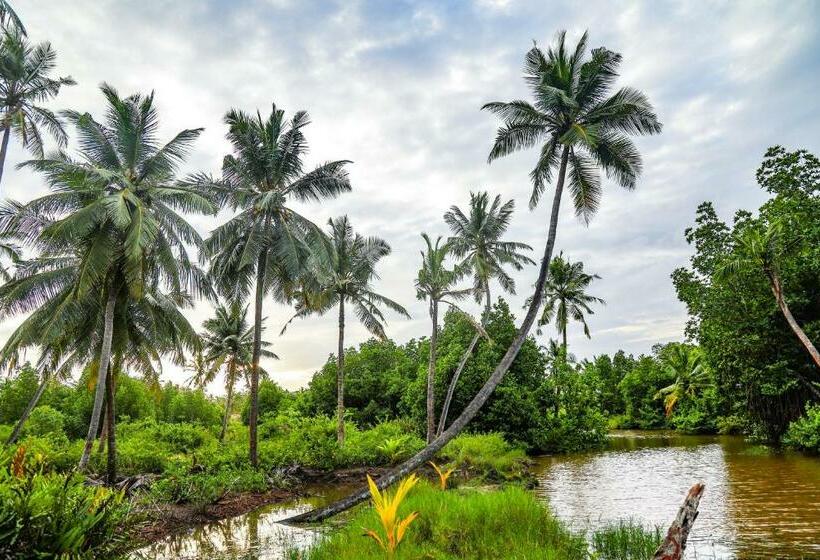 Pensão Treasure Island