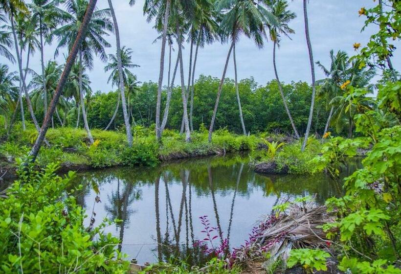 Pensão Treasure Island