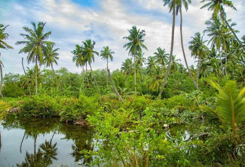 Pensão Treasure Island