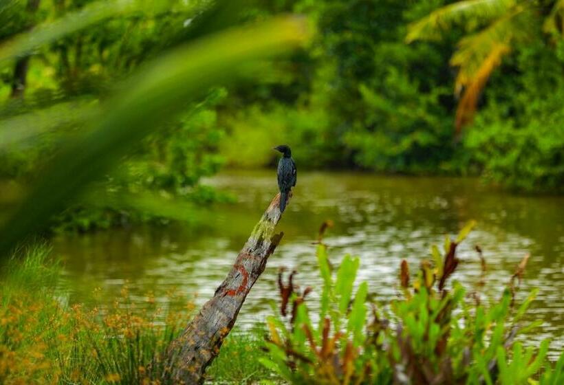 Pensão Treasure Island