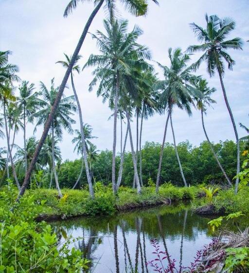 Pensão Treasure Island