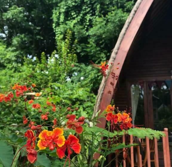 مبيت وإفطار Meno Madia Bungalows