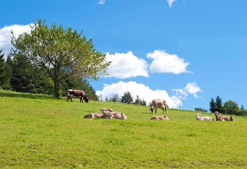 Отель Gasthof Ebner Pfiffikus