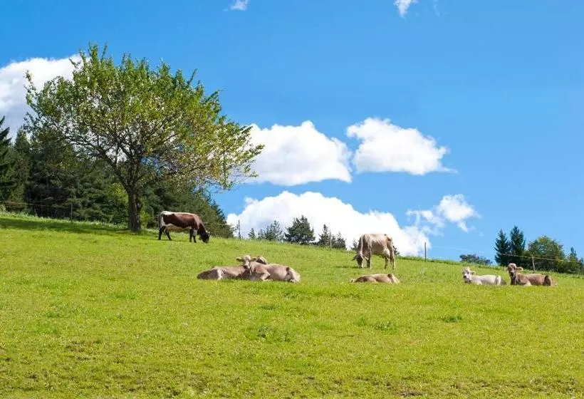 Hotelli Gasthof Ebner Pfiffikus