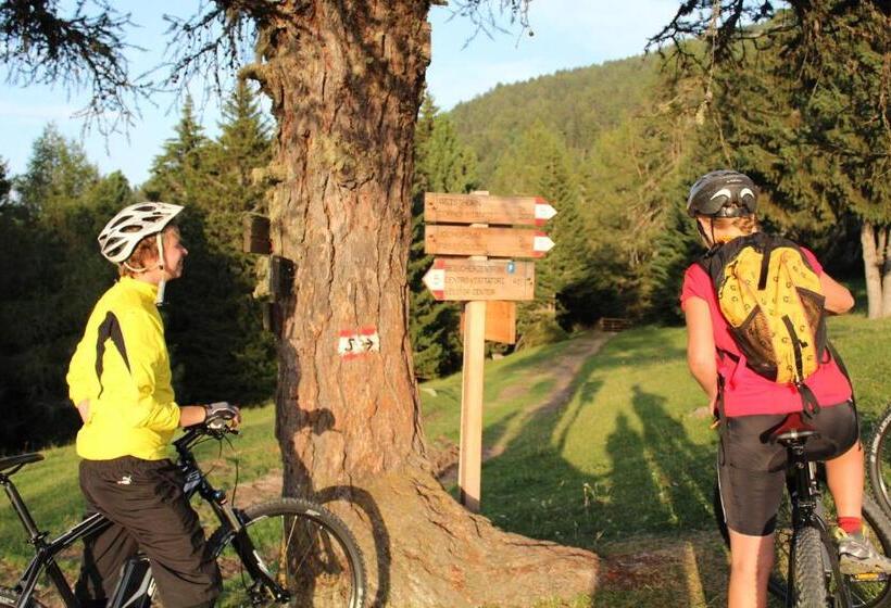 Отель Gasthof Ebner Pfiffikus