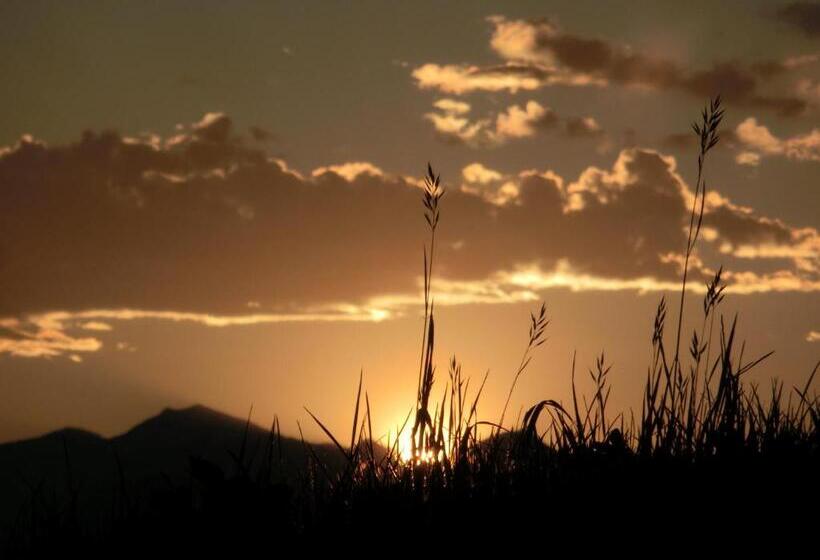 Отель Gasthof Ebner Pfiffikus