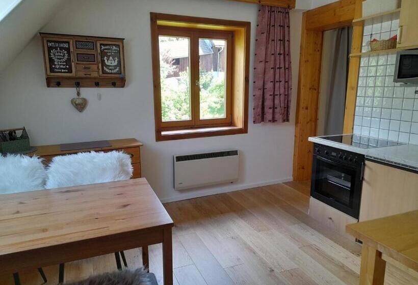 Hotell Haus Hanshois