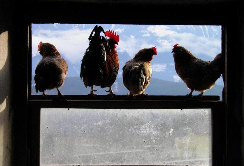 Hotell Haus Hanshois