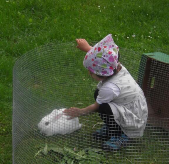 Hotell Haus Hanshois