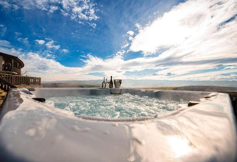 Отель Pensiunea Casa Buna