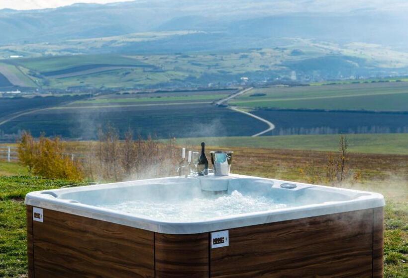 Отель Pensiunea Casa Buna