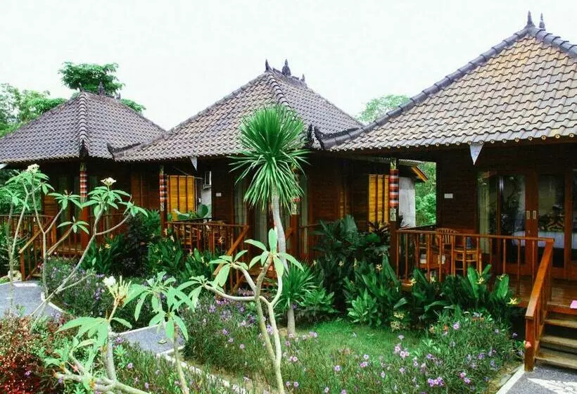 ペンション Dmas Huts Lembongan