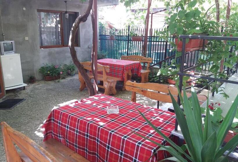 پانسیون Guest House Astra