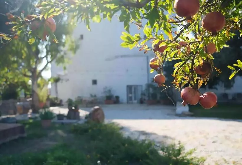 ペンション Rooms Masseria Giangrande