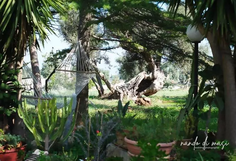 ペンション Rooms Masseria Giangrande
