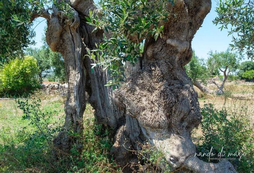 پانسیون Rooms Masseria Giangrande