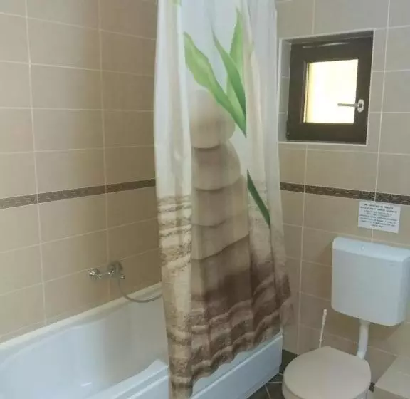 Pensiune Vila Ozon
