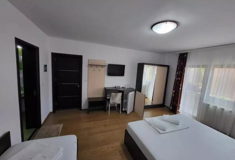 Pensiune Vila Ozon