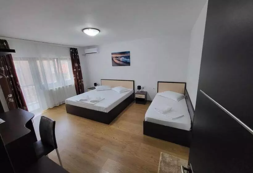 Pensiune Vila Ozon