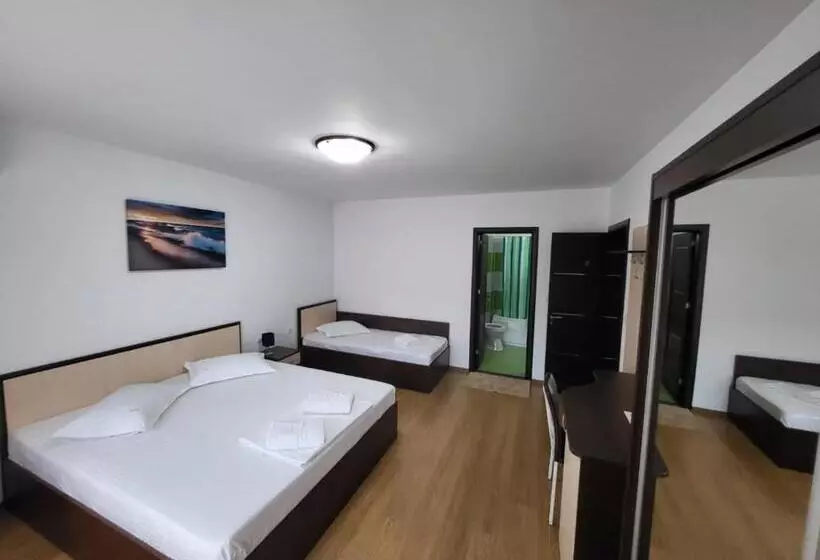 Pensiune Vila Ozon