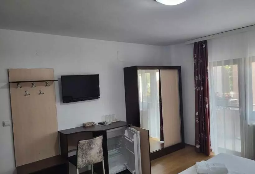 Pensiune Vila Ozon