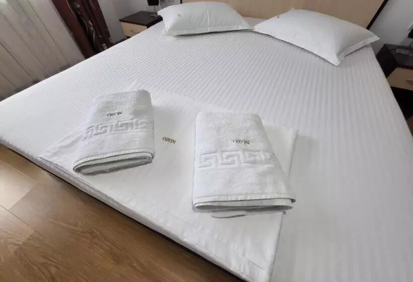 Pensiune Vila Ozon