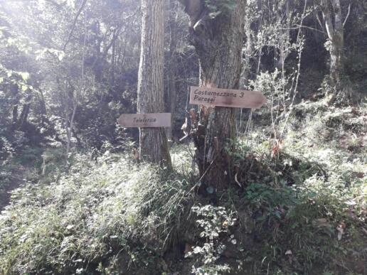 Trekking In Paradise B&b