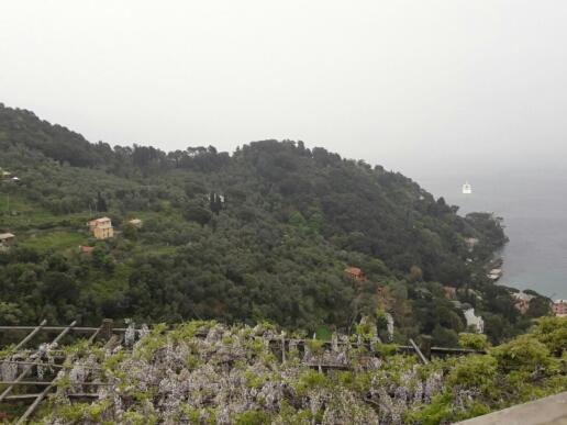 Trekking In Paradise B&b