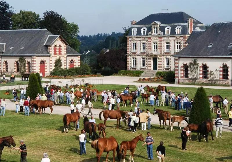 Brit Hotel Confort Saint Lô