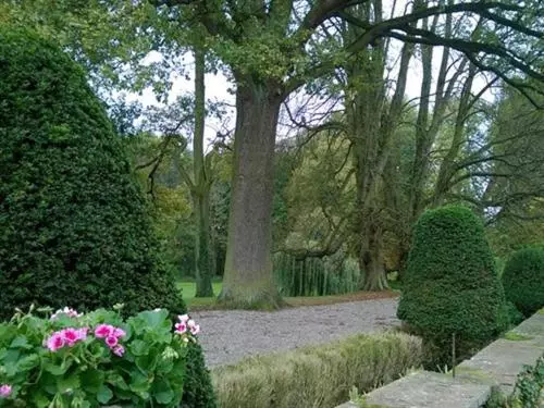 فندق Le Château D Osthoffen