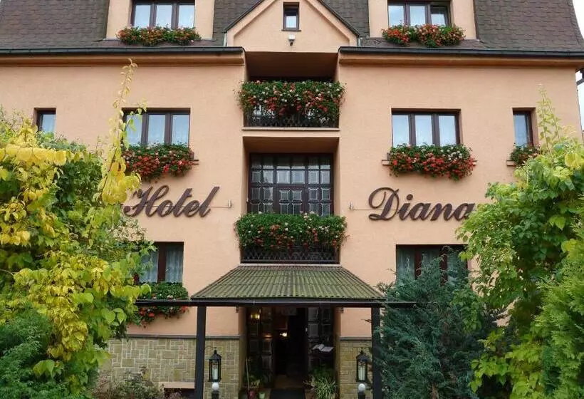 בית מלון כפרי Diana Apartments