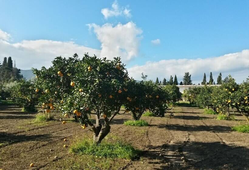 Отель Domu Incantada