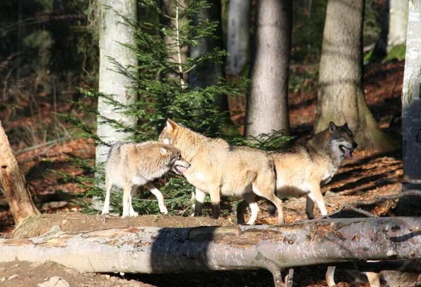 בית מלון כפרי Landgasthof Hohenauer Hof