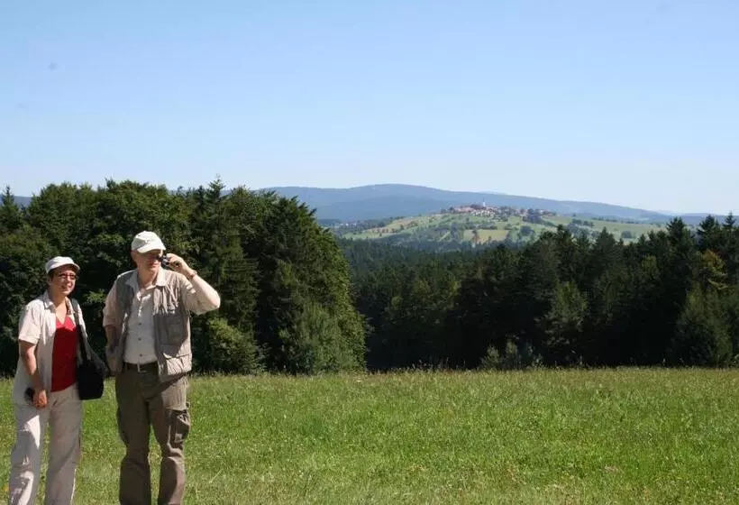 Отель Landgasthof Hohenauer Hof
