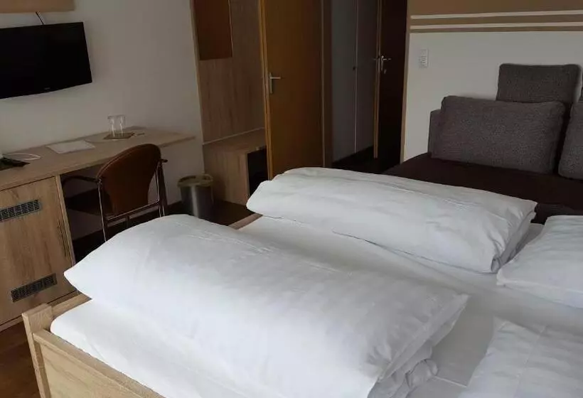 Отель Landgasthof Hohenauer Hof