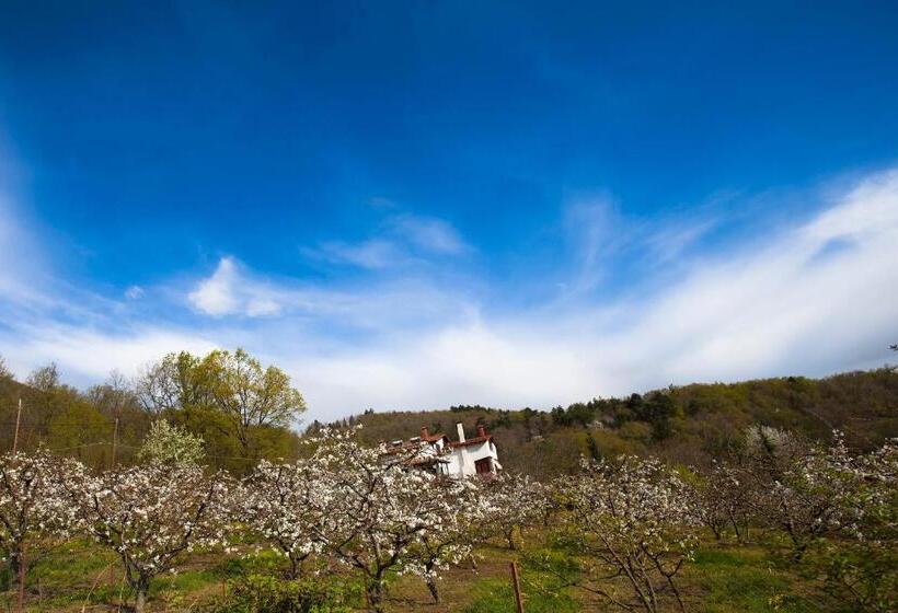 Пансион Militsa Guesthouse