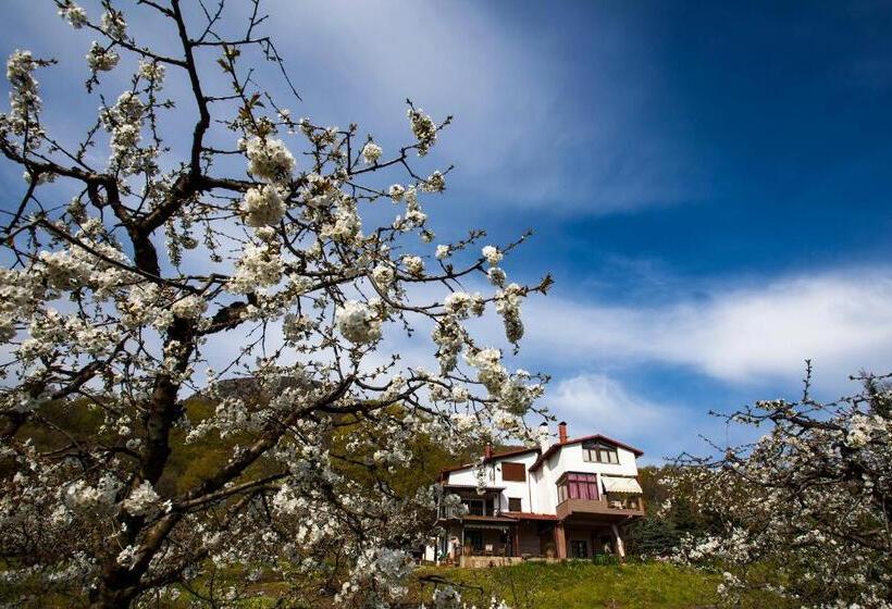 Пансион Militsa Guesthouse