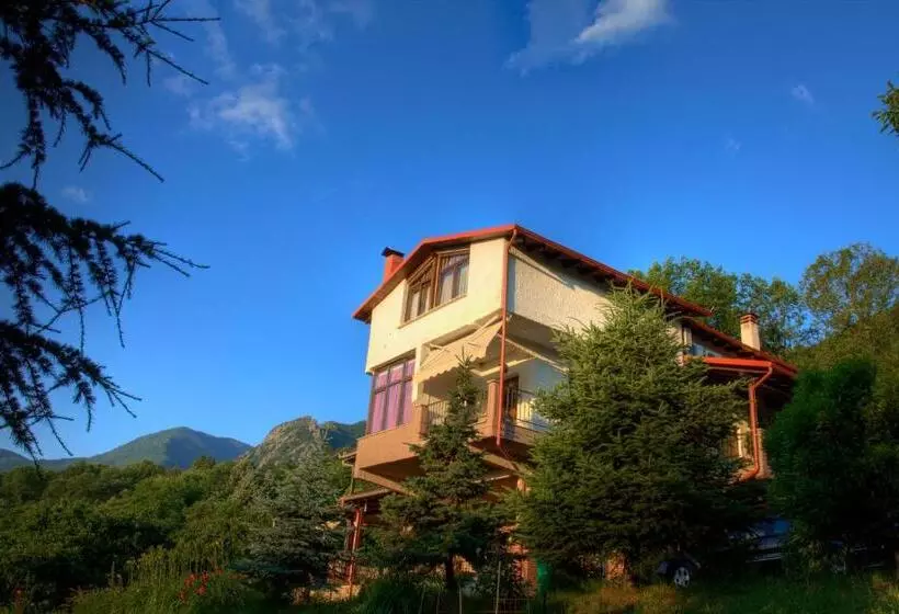 بنسيون Militsa Guesthouse