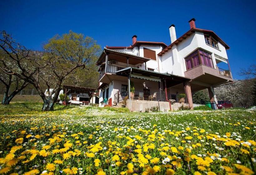 Пансион Militsa Guesthouse