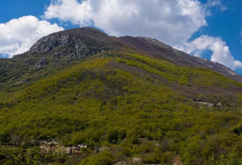 بنسيون Militsa Guesthouse