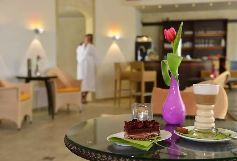 אתר נופש Freund