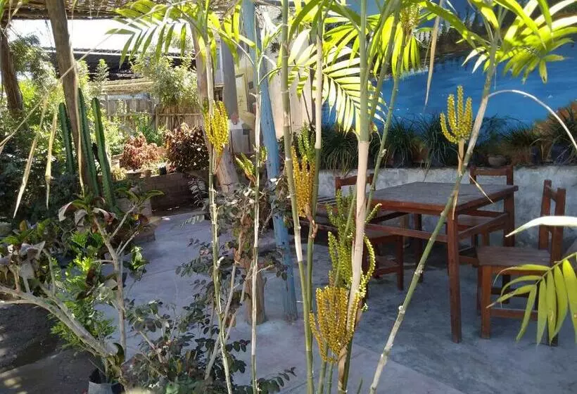 Departamento 4p Tierra Del Sol Eterno Ica Centro