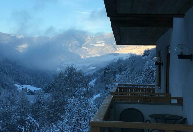 ペンション Gasthof Mittermühl