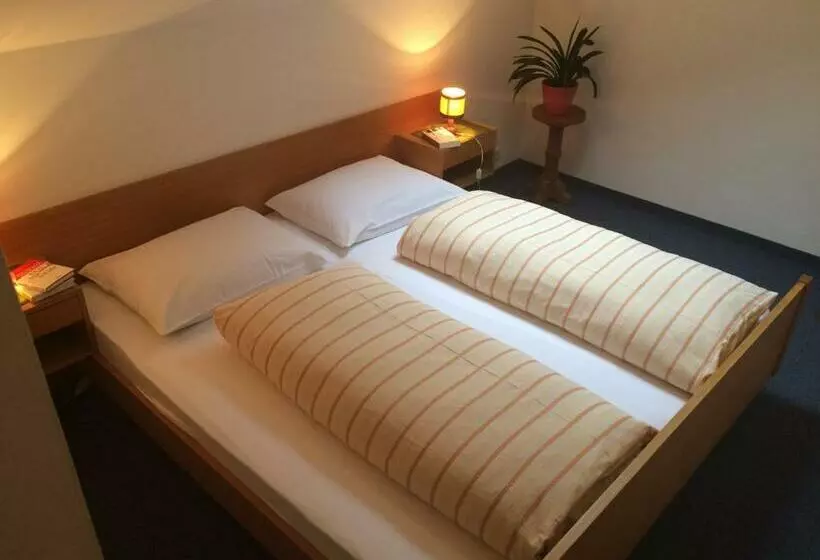 ペンション Gasthof Mittermühl