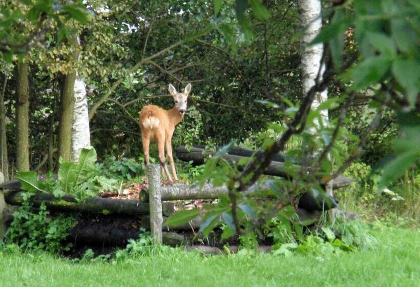 פנסיון Penzion U Studeného Potoka