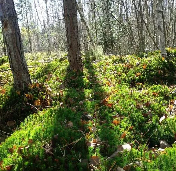Majatalo Penzion U Studeného Potoka