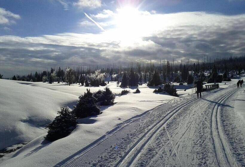 פנסיון Penzion U Studeného Potoka