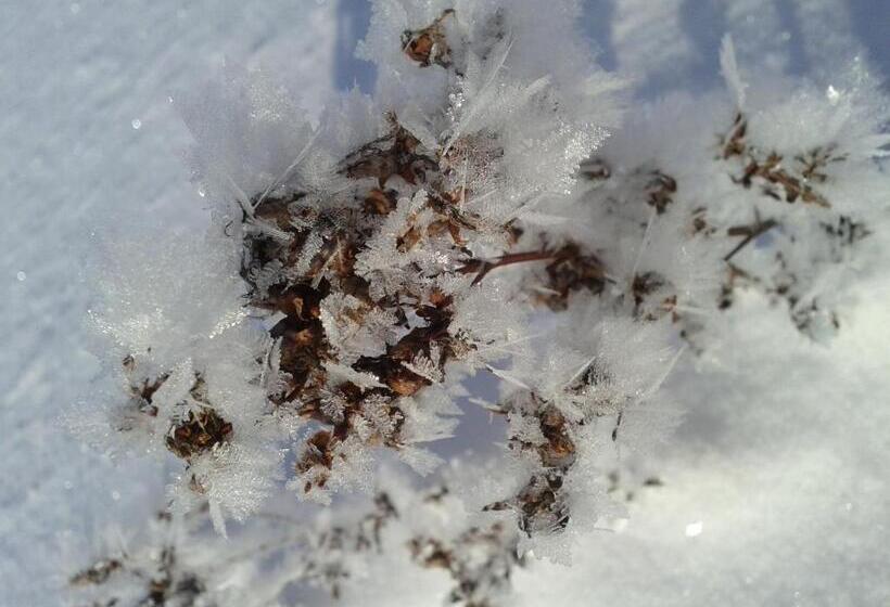 פנסיון Penzion U Studeného Potoka