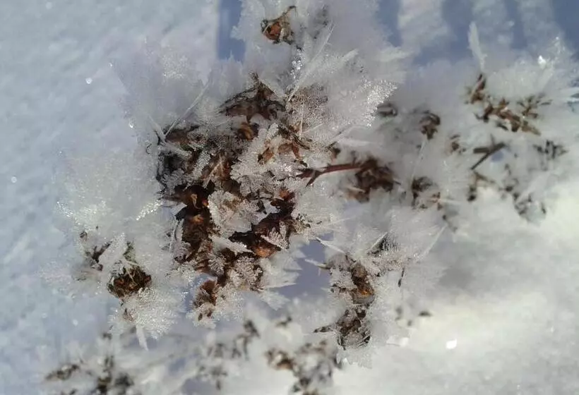 Majatalo Penzion U Studeného Potoka